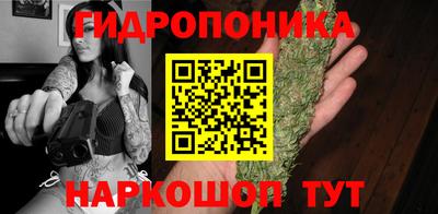 стафф Свободный