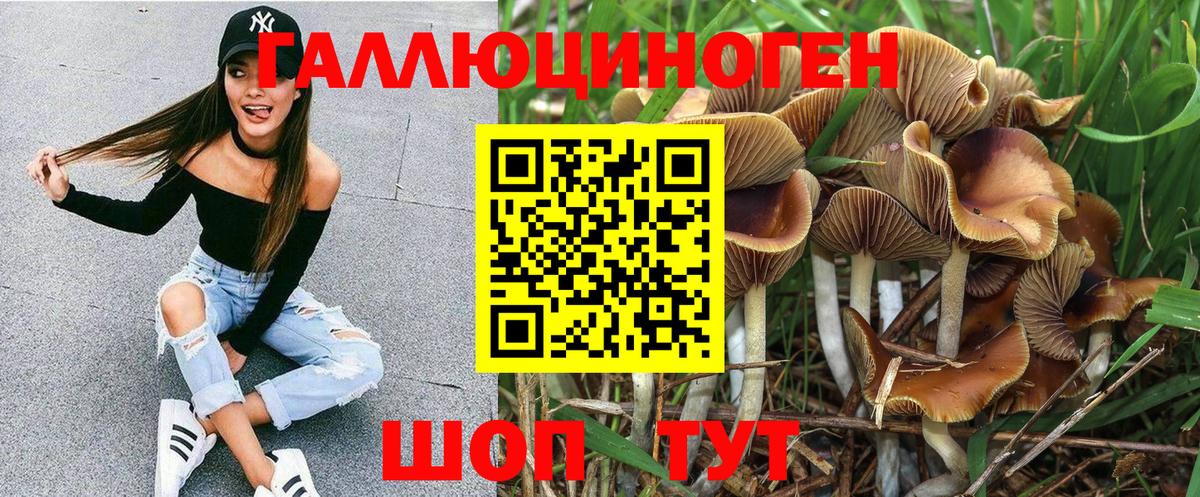 Мытищи  Псилоцибиновые грибы Cubensis  Псилоцибиновые грибы GOLDEN TEACHER  Вход с VPN 